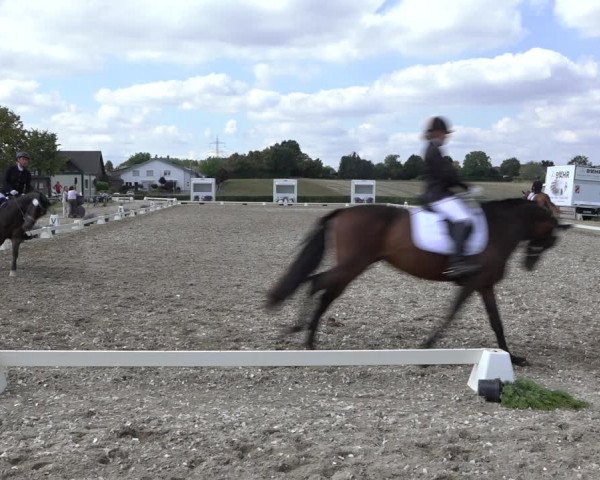 Heinsberg Classics 2022