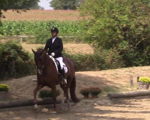 Reitturnier Datteln 2022