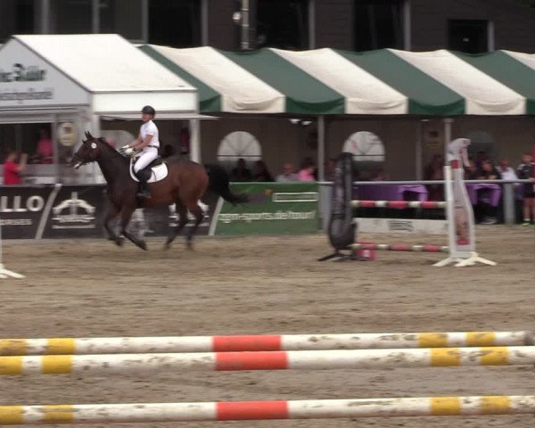 Reitturnier Datteln 2022