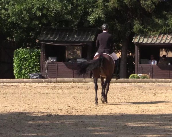 Reitturnier Datteln 2022