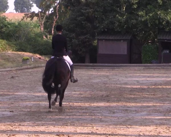 Reitturnier Datteln 2022