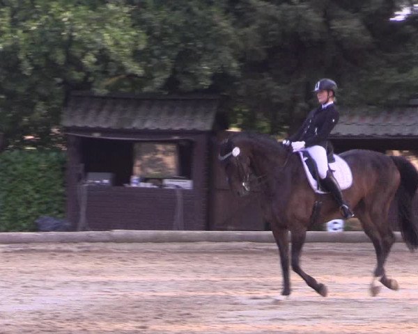 Reitturnier Datteln 2022
