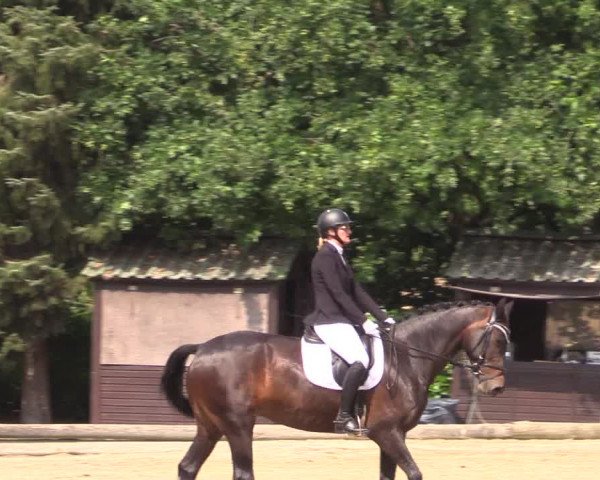 Reitturnier Datteln 2022
