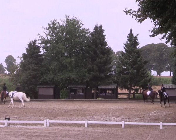 Reitturnier Datteln 2022