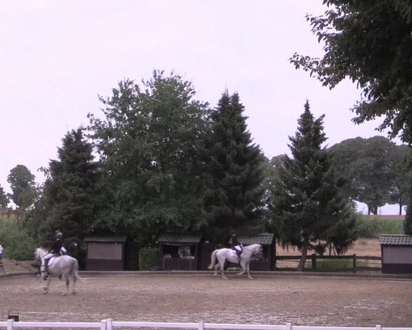 Reitturnier Datteln 2022