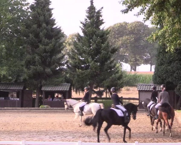 Reitturnier Datteln 2022