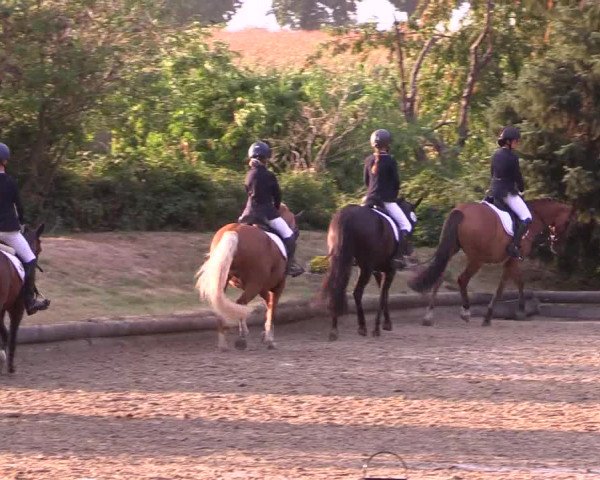 Reitturnier Datteln 2022
