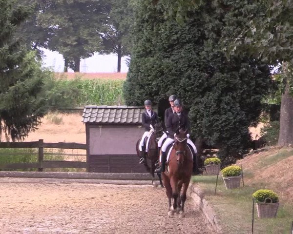 Reitturnier Datteln 2022