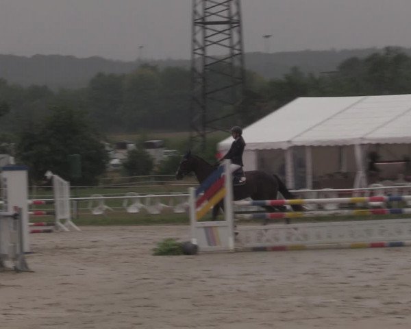 Reitturnier Menden 2022
