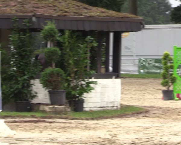 Reitturnier Datteln 2022