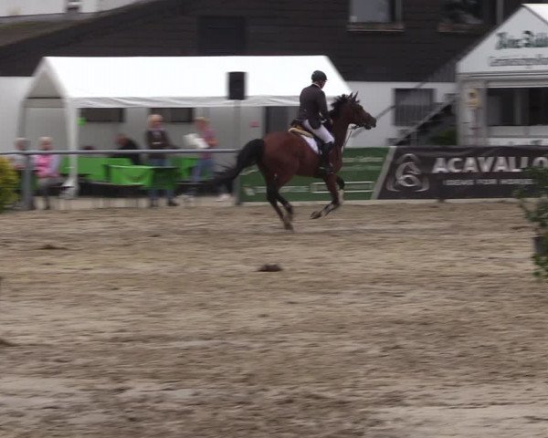 Reitturnier Datteln 2022