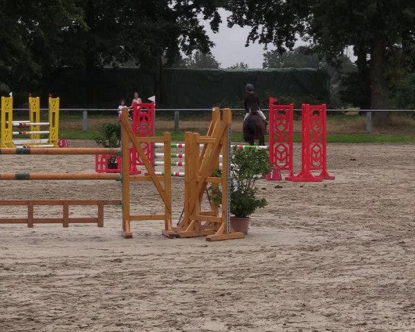 Reitturnier Datteln 2022