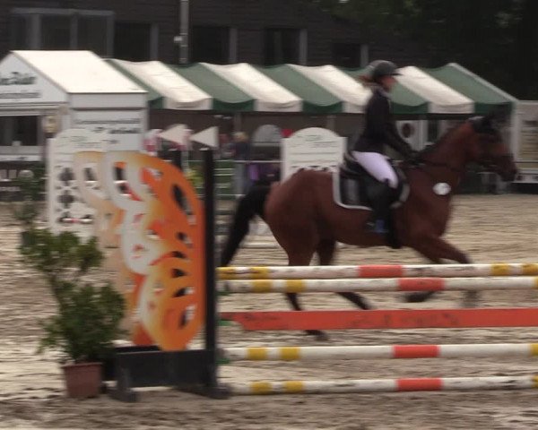 Reitturnier Datteln 2022