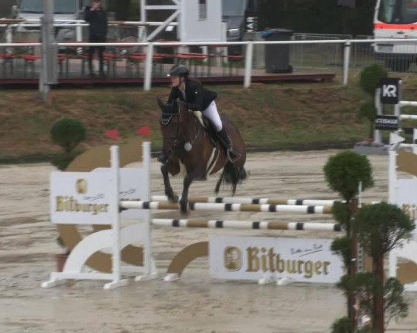 Reitturnier Bergisch Gladbach SPR 2022