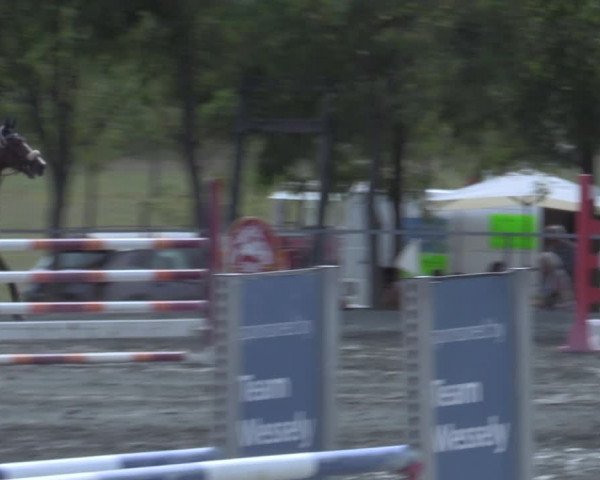 Reitturnier Horitschon 2022