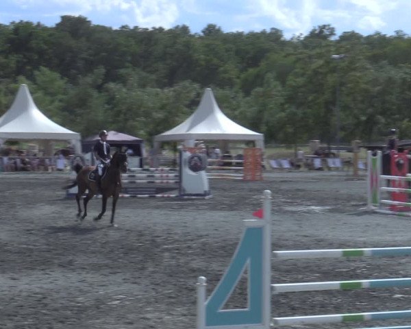 Reitturnier Horitschon 2022