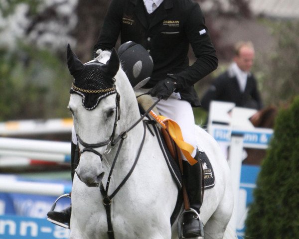 broodmare Chiclana (Rhinelander, 2001, from Calido I)