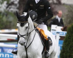 broodmare Chiclana (Rhinelander, 2001, from Calido I)