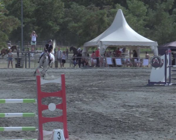 Reitturnier Horitschon 2022