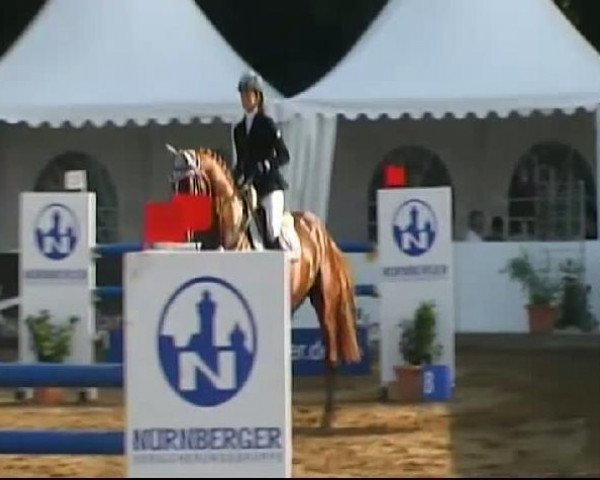 jumper Louis D'or 29 (Hanoverian, 2001, from Landor S)