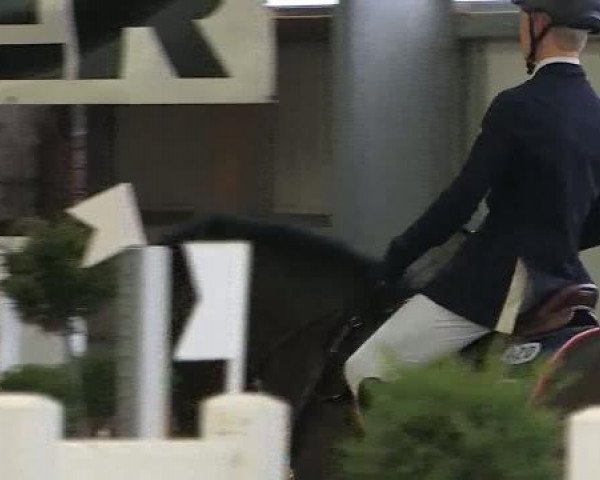 Jumper Roncalli 118 (Oldenburger, 2005, from Renegade Z) - Voßwinkeler Hallenreitertage 2012 18.02.2012
09 Springprüfung Kl.L
