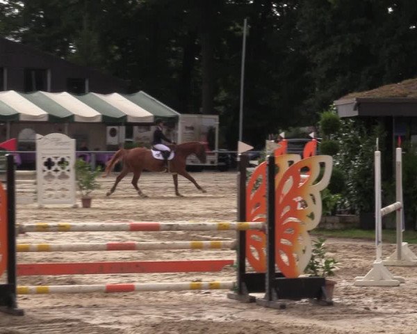 Reitturnier Datteln 2022