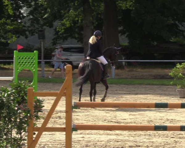 Reitturnier Datteln 2022