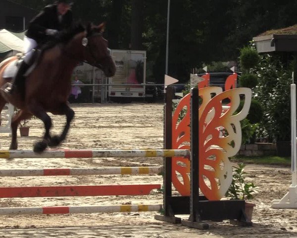Reitturnier Datteln 2022