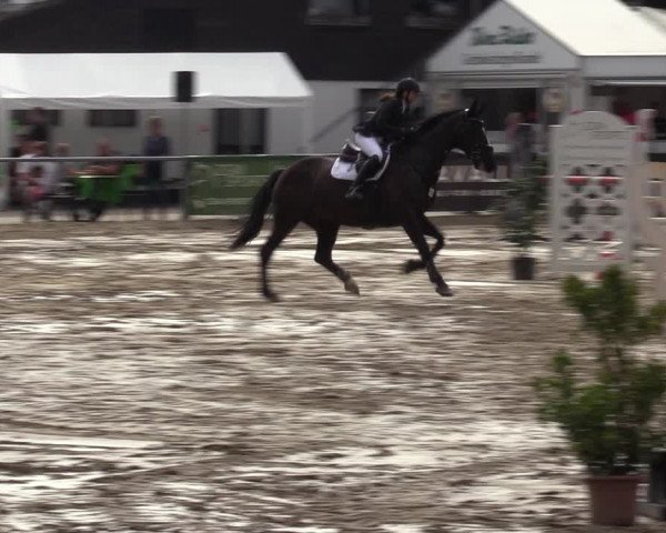 Reitturnier Datteln 2022