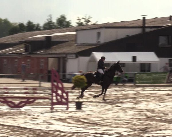 Reitturnier Datteln 2022