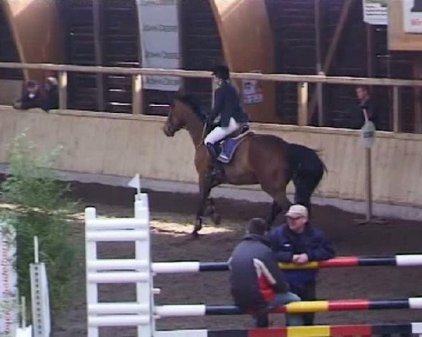 Springpferd Lovely Laudatia (Württemberger, 2005, von Laudatio)