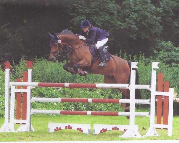broodmare Laura Biaciotti (Bavarian, 2003, from Konvoi)