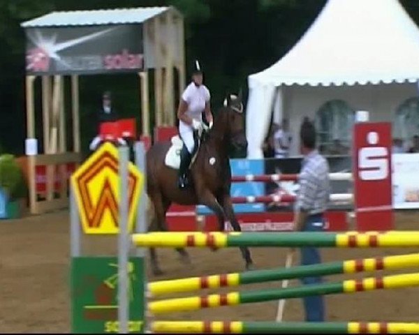 Springpferd Lihr (Württemberger, 2005, von Loving Dancer)