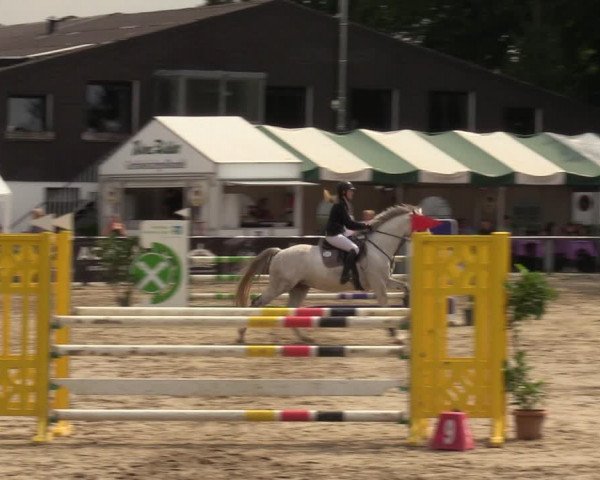 Reitturnier Datteln 2022