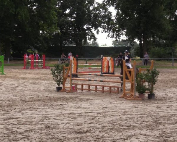 Reitturnier Datteln 2022