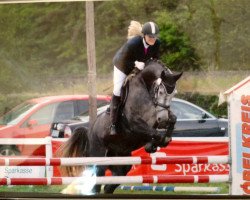broodmare Cera W (Westphalian, 2006, from Cornet Obolensky)