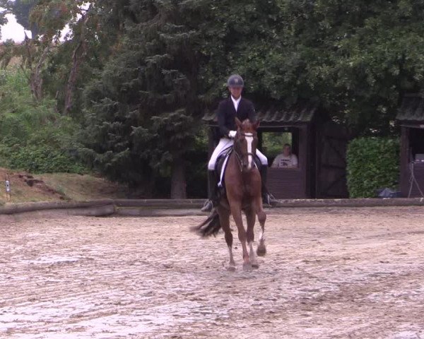 Reitturnier Datteln 2022