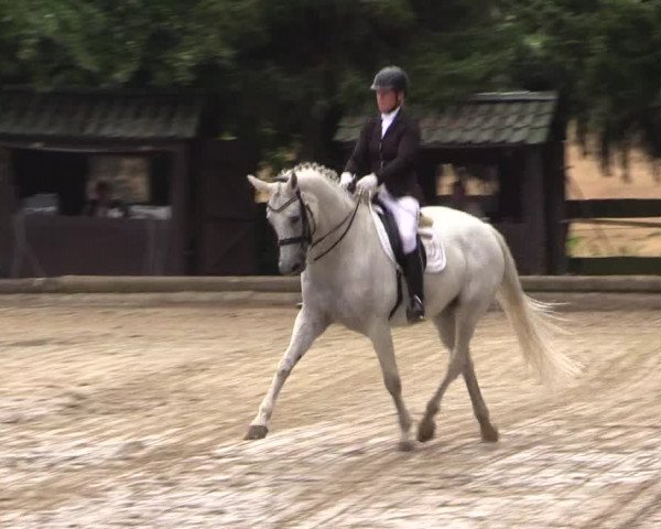 Reitturnier Datteln 2022
