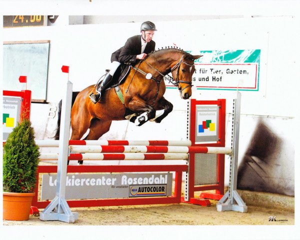 broodmare Unforgettable 3 (Oldenburg show jumper, 2007, from Insul Tech Up To Date 8)