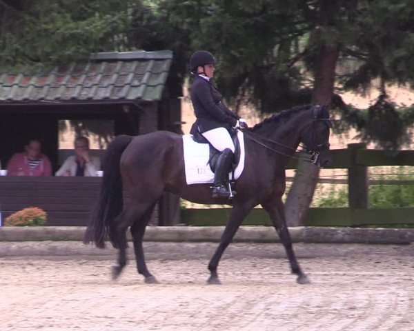 Reitturnier Datteln 2022