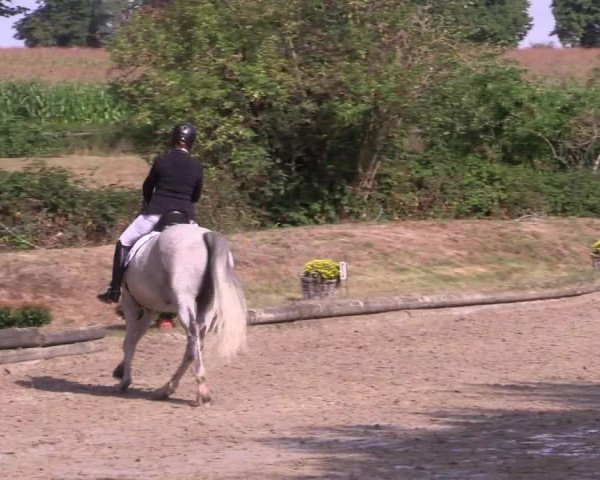 Reitturnier Datteln 2022