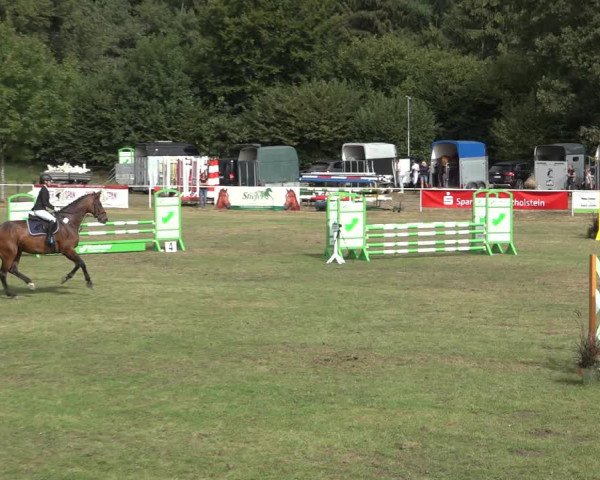 Reitturnier Kellinghusen 2022