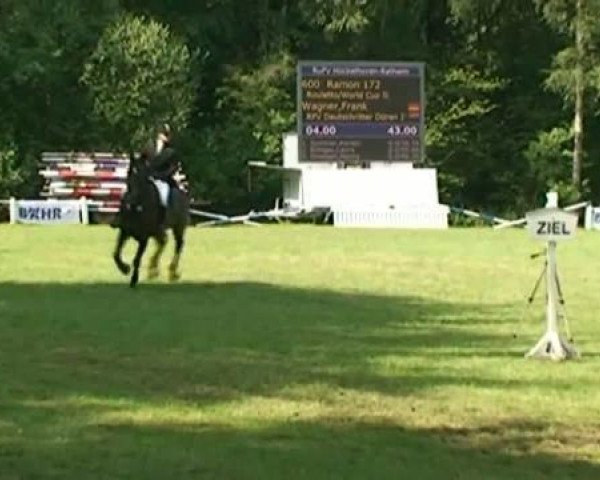 horse Ramon 172 (Oldenburg, 1996, from Rouletto) horse Ramon 172 (Oldenburg, 1996, from Rouletto)