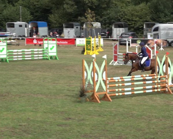 Reitturnier Kellinghusen 2022