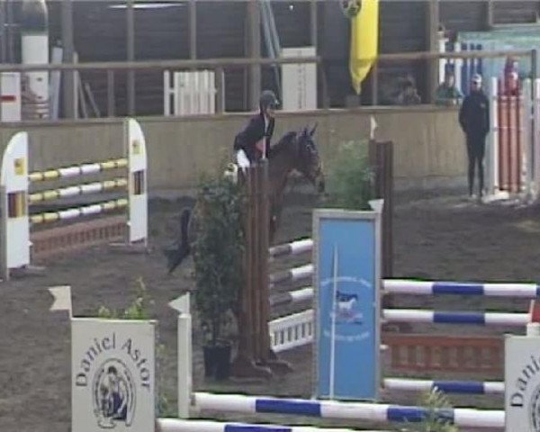 jumper Fly 55 (Thuringia, 1999, from Liberty Son)