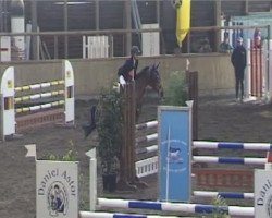jumper Fly 55 (Thuringia, 1999, from Liberty Son)