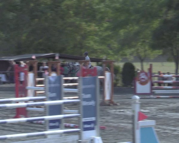 Reitturnier Horitschon 2022