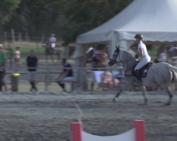Reitturnier Horitschon 2022