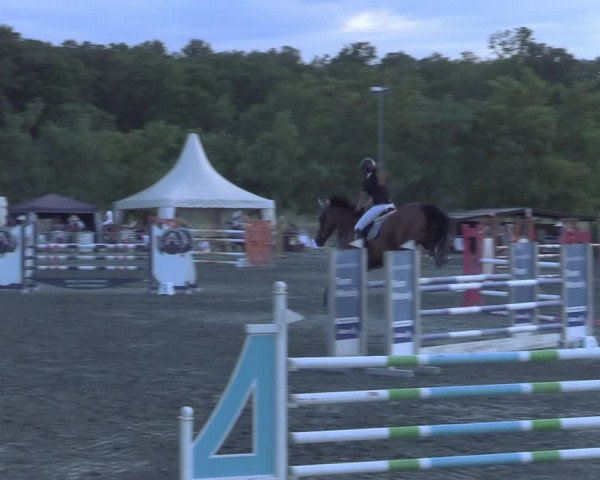 Reitturnier Horitschon 2022