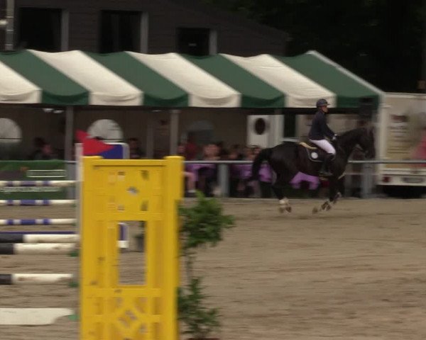 Reitturnier Datteln 2022